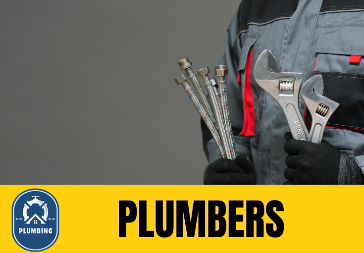 plumber Dukinfield